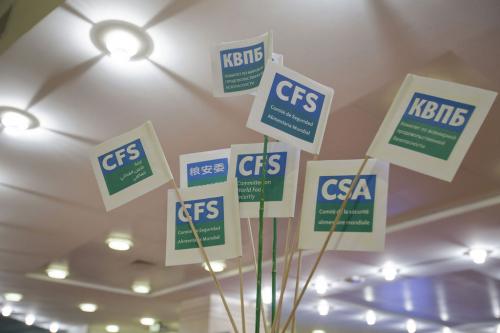 02-13-2013cfscfa_0.jpg