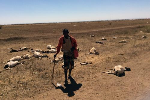 02-17-2017-Somalia_drought_sheep_0.jpg