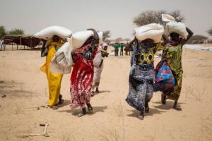 02-24-2017LakeChad_0_0.jpg