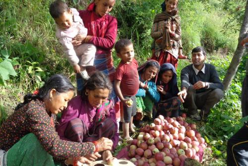 03-05-2015Women_Farmers_0.jpg