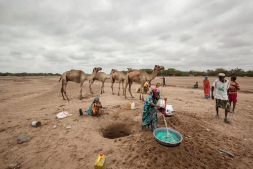 04-11-2016SomaliDrought_0.jpg