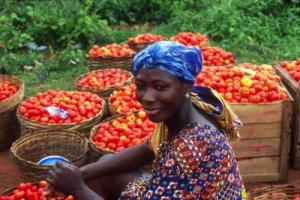 06-12-2013foodsecurity_0_0.jpg