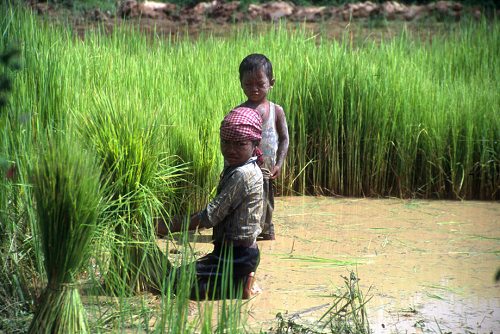 06-15-fao-child-labour_1.jpg