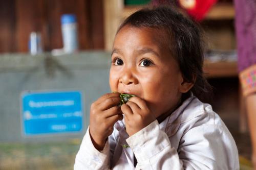 07-16-wf-laos-child-eat_0.jpg