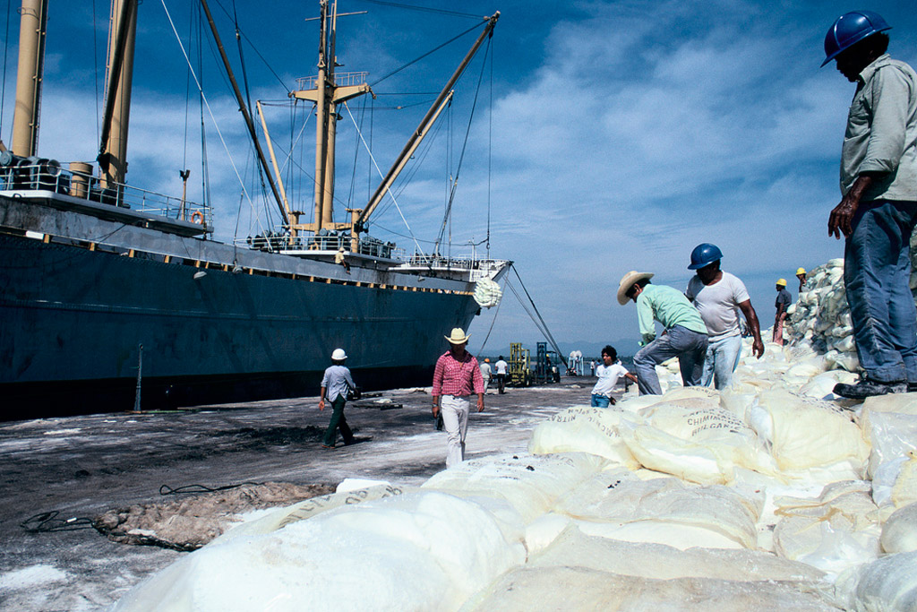 12-12-2014Dock_Workers.jpg