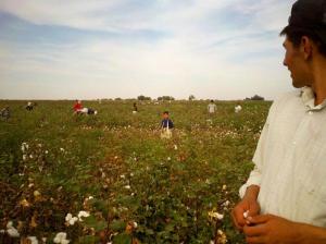 2012_Uzbekistan_cotton_0_0.jpg