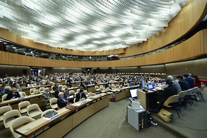 2014_UN_CCW%20Experts%20Meeting_0.jpg