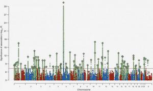 20160127-graph-chromosome-6_0.jpg