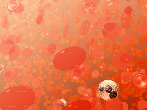 20171113-blood-cells.jpg