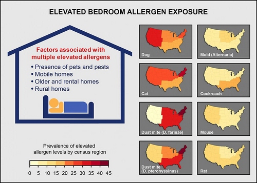 20171130-elevated-bedroom-allergen.jpg