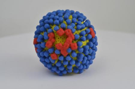 20180406-influenza-virus_0.jpg