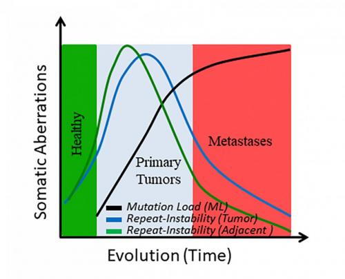 20190807-tumor-evolution_0_0.jpg
