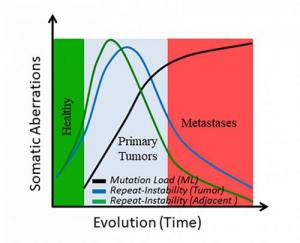 20190807-tumor-evolution_0_0_0.jpg