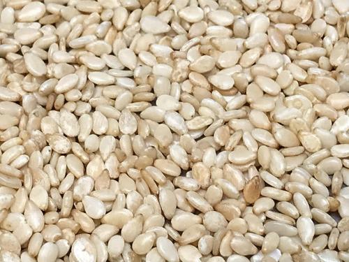 20191104-sesame-seeds_0.jpg