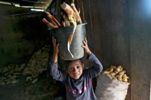 348609-childlabour_0_0.jpg