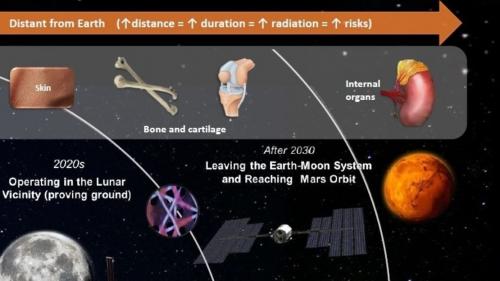 3D_bioprinting_for_space_article_mob_0.jpg