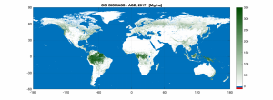 Biomass_Quantifying_carbon_in_forests_pillars_0.png