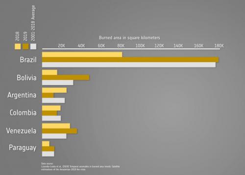 Burned_areas_divided_by_country_pillars_0.jpg