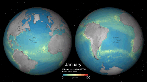 Global_monthly_primary_productivity_article_0.gif