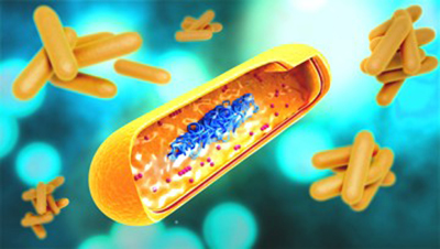 Illustration-of-Mycobacterium-tuberculosis.jpg