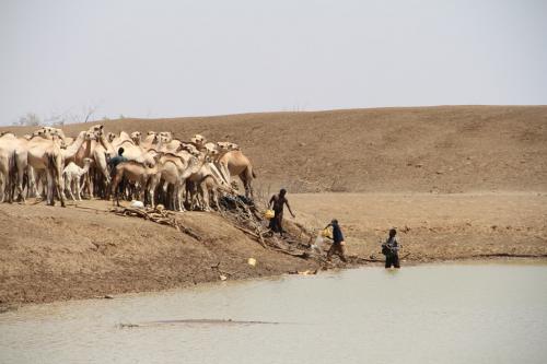 Kenya_drought_2017_OCHA_0.jpg