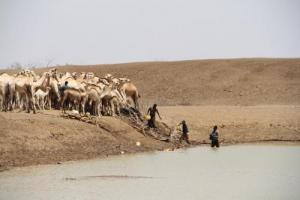 Kenya_drought_2017_OCHA_0_0.jpg