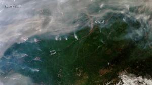 Siberian_wildfires_article_mob_0.jpg