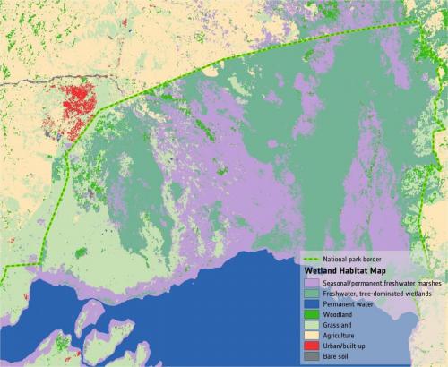 Wetland_habitat_map_of_Lake_George_pillars_0.jpg