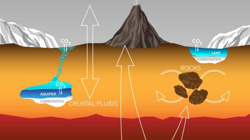 carbon_cycle_0.jpg