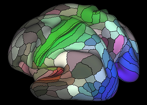 connectome_human_cortex_map_153031_1.jpg