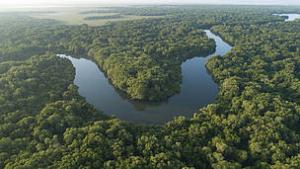 dji_0070_canal_usumacinta_river_0.jpg