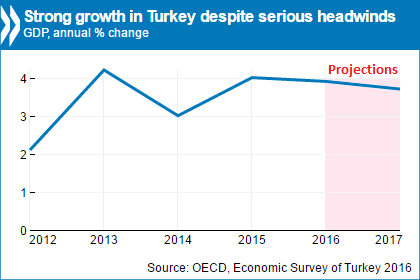 eco survey turkey 2016.png