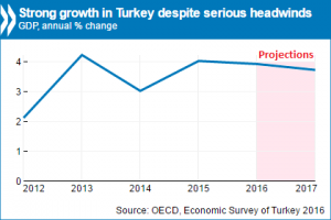 eco survey turkey 2016_0.png