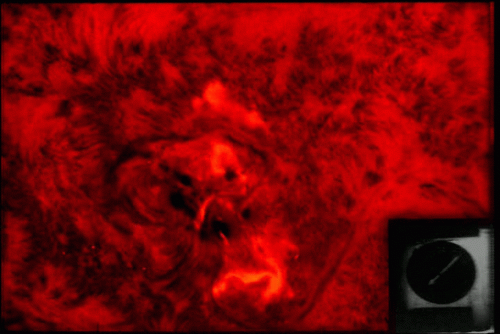 flare1972_0.gif