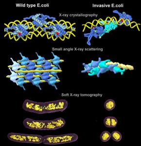 hu-dna450_0.jpg