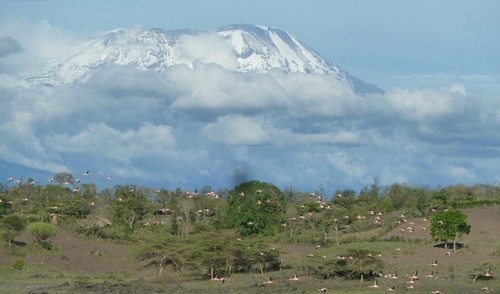 kilimanjaro_national_park.jpg