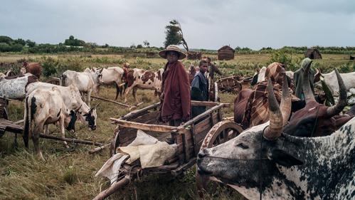 madagascar-alleviating-three-key-drivers-of-poverty-through-the-fiavota-cash-transfer-program-03-780x439_0.jpg