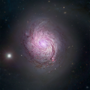 ngc1068-lp-nustar-2_0.png