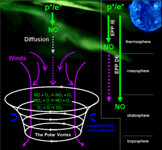 nitric_oxide_graphic.png