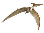 pterasaur.jpg