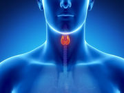 thyroid310.jpg