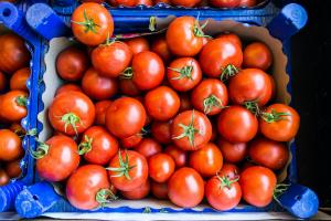 tomatoes_shutterstock_445102885_0.jpg