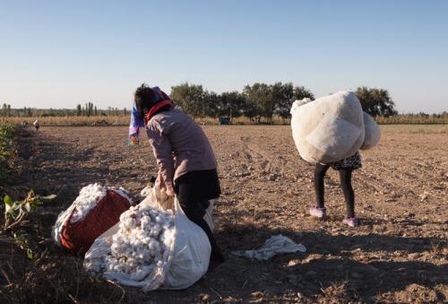 uzbekistan-cotton-sack-bann_0.jpg