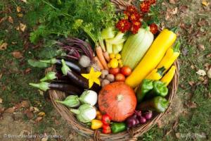 vegetable basket0319_0_0.jpg