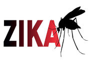 zika12.jpg