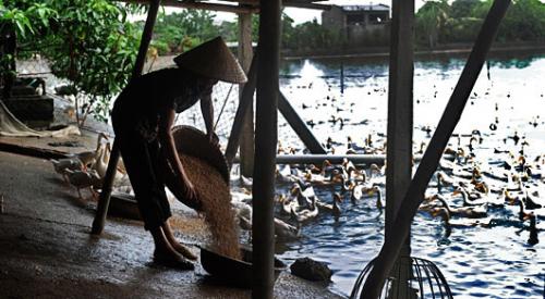 01-17-2014Sustainable_Food_0.jpg