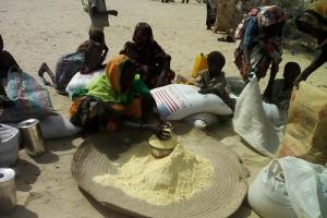 02-16-2016BokoHaram_0.jpg
