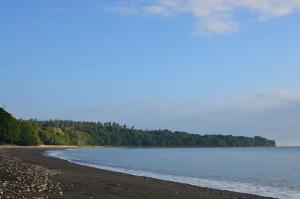 02-24-2014Small_Island_0.jpg