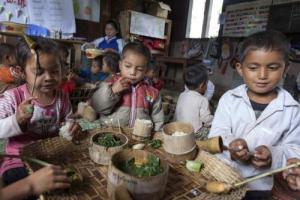 06-04-2013malnutrition_0_0.jpg