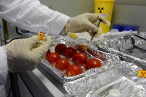 06-09-2017-IAEA_food_safety_0_0.jpg